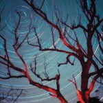 Il Cielo di Dicembre – Effemeridi e Fenomeni Il Cielo di Dicembre – Effemeridi e Fenomeni