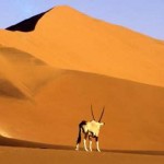 FOTO 3 NAMIBIA