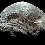 Vesta - La parola agli esperti Vesta - La parola agli esperti