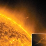 Le SETTE VITE della Lovejoy Le SETTE VITE della Lovejoy