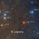 R LEPORIS la STELLA CREMISI di HIND