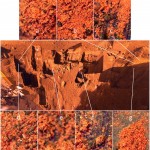 Seicento milioni di anni d’aridità
