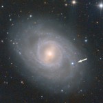Ultime Supernovae