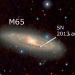 Supernovae