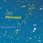 Phocaea ed Ekard due quasi gemelli separati solo dall’albedo