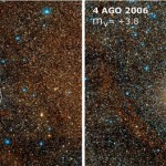 CHI CYGNI è tornata! Cercatela stanotte
