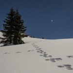 La Luna illumina la notte