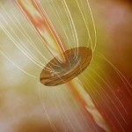 Grandi stelle e campi magnetici Grandi stelle e campi magnetici