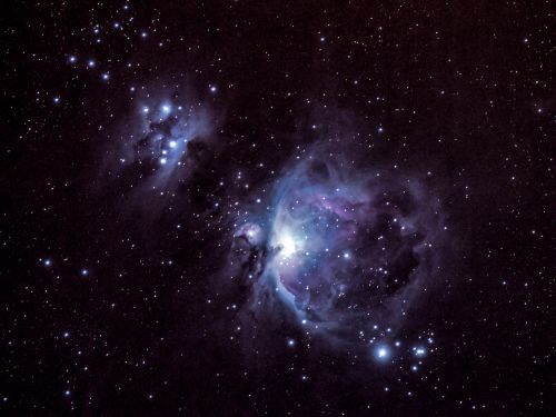 M42, M43, NGC 1977