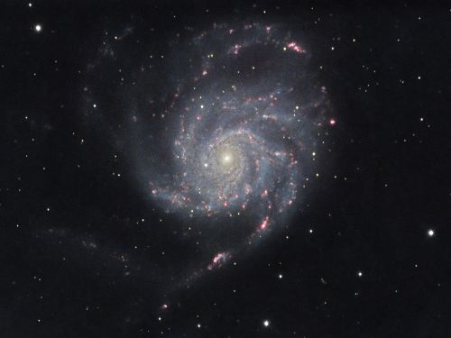 Galassia Girandola (M101)