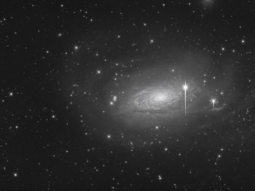 La reale dimensione apparente di M63: Sunflower Galaxy
