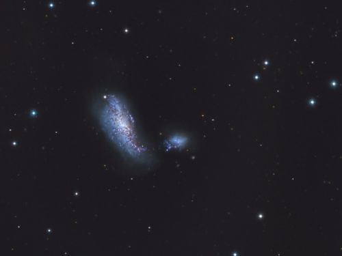 NGC4490 Coccon Galaxy