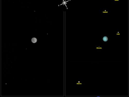 Urano con i suoi satelliti