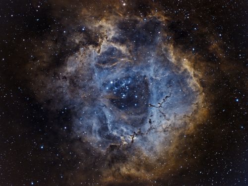 NGC 2237 in tricromia