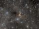 La Nebulosa Fantasma - VdB 141