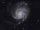 Galassia Girandola (M101)