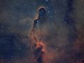 vdB 142  Nebulosa Proboscide di Elefante