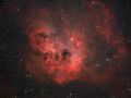 IC410 – Nebulosa Girino