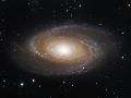 M81 Bode’s galaxy