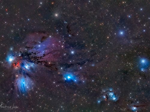 La nebulosa Angelo NGC 2170