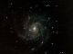 M101 galassia in UMA