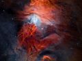 NGC 2264 – Albero di Natale e Nebulosa Cono