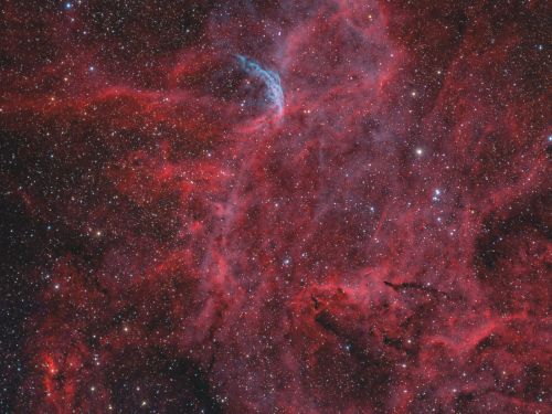 WR134 Stella Wolf-Rayet e nebulosità interstellare