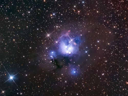 NGC 7129: La nursery stellare