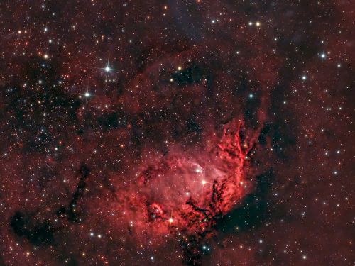 SH2-101: La Nebulosa Tulipano e il Buco Nero Cygnus X-1