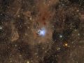 NGC7023 – IRIS NEBULA