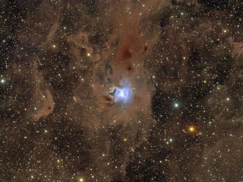 NGC7023 – IRIS NEBULA