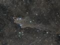 Dark Shark Nebula