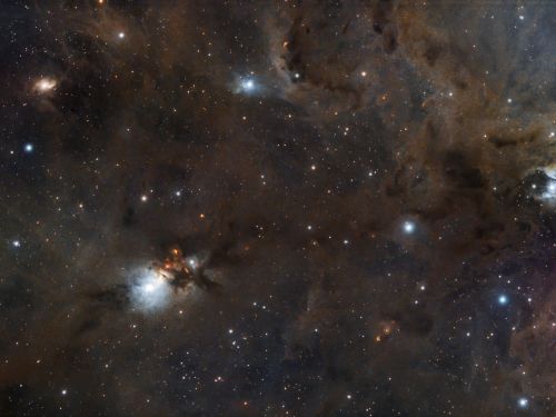 NGC1333 in Perseo