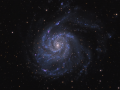 Galassia M101