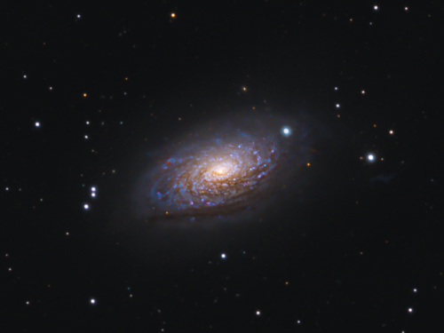 M63 Galassia Girasole