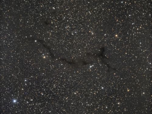La nebulosa Barnard 150