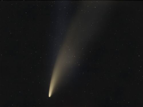 Le due code della cometa Neowise