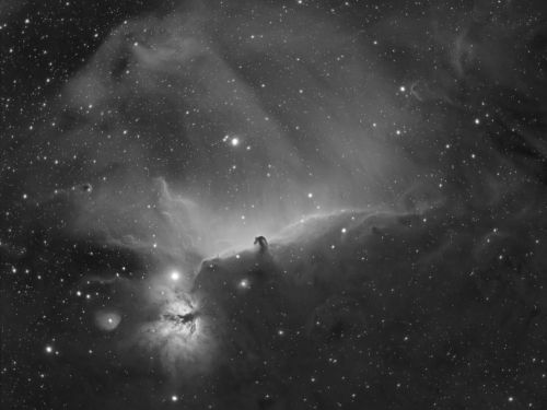 La nebulosa Testa di Cavallo in H-Alpha