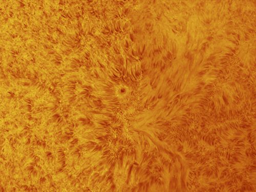 Sole in H-alpha – 29 aprile 2017 – particolare