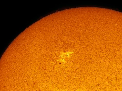 Il Sole in H-Alpha il 7 novembre 2020