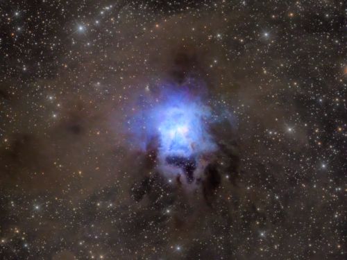 NGC 7023 – la nebulosa Iris
