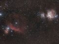 La nebulosa di Orione e la Testa di cavallo (M 42 e IC 434)