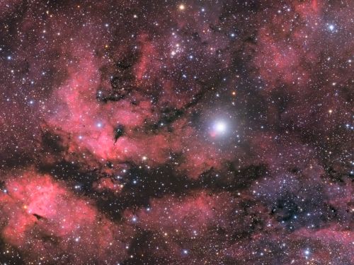 Il complesso nebulare di Sadr (Gamma Cygni)