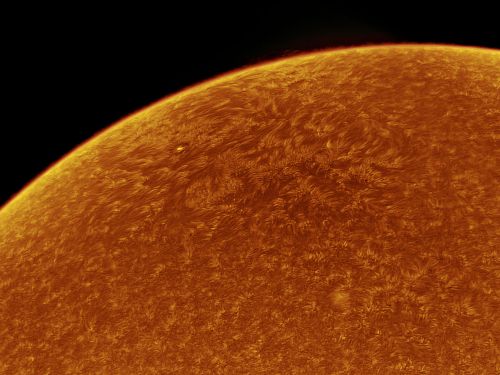 Sole in H-alpha – 29 aprile 2017 – negativo
