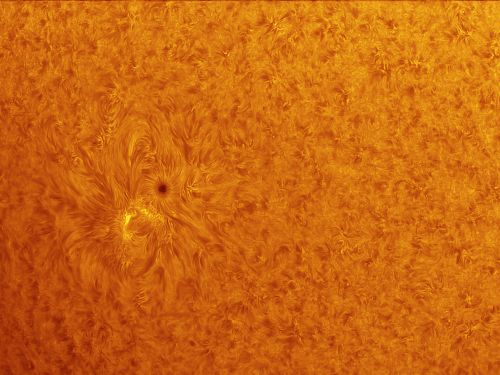 Sole in H-Alpha – AR 2770