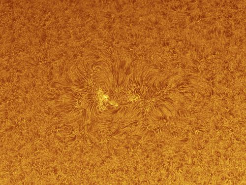 Sole in H-Alpha 4 Aprile 2020 – AR2759