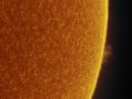 Protuberanza solare in H-Alpha