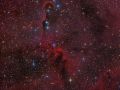 La Nebulosa Proboscide d’Elefante – vdB 142