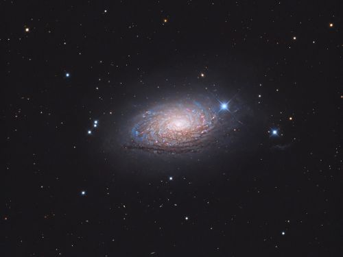 M63 Galassia Girasole