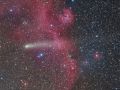 Cometa 21/P Giacobini-Zinner e IC2177